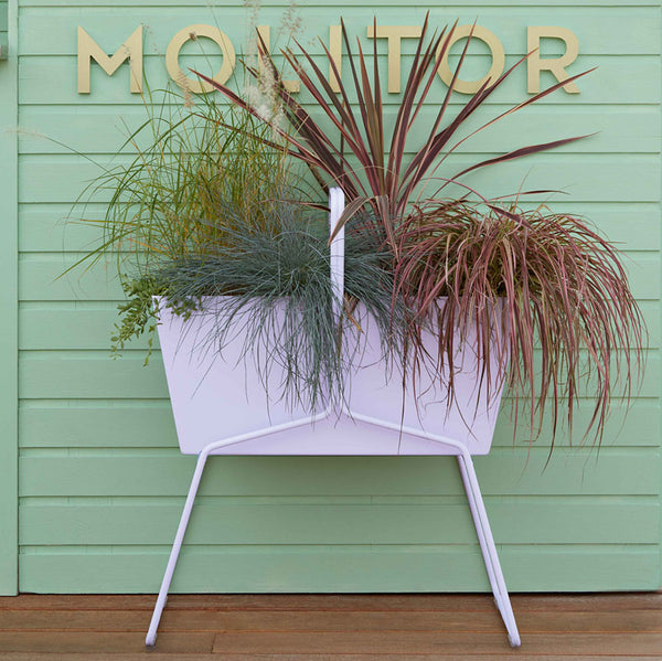 Planters & Accessories